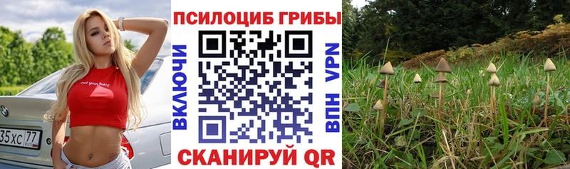 Псилоцибиновые грибы Magic Shrooms  где купить наркоту  Балашиха 